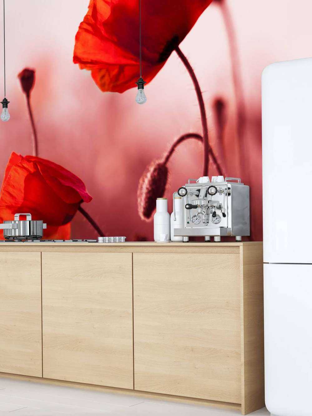 Des coquelicots dans la prairie