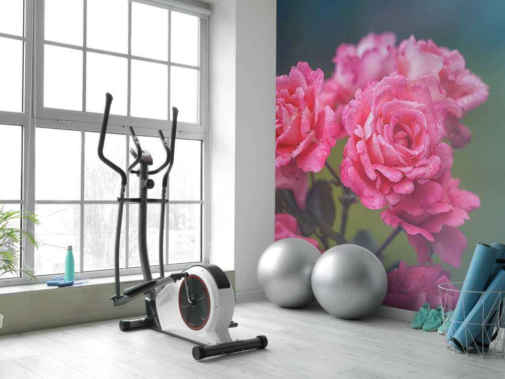 Branche de rose rose