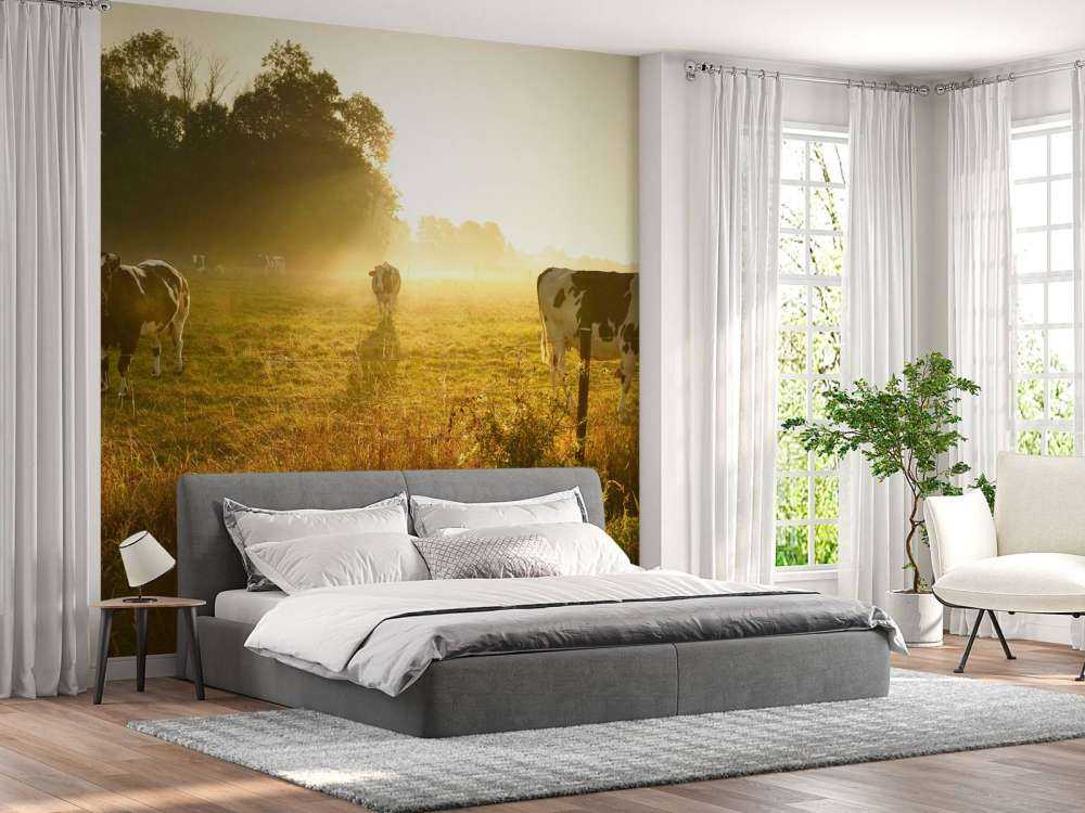 Vache au lever du soleil