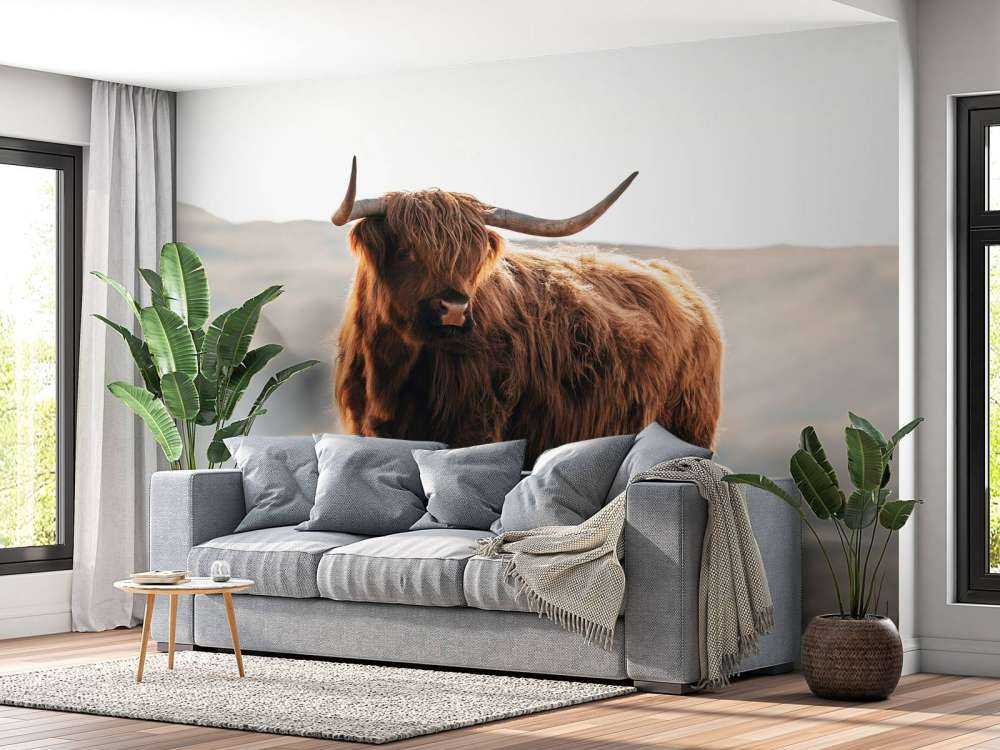 Un Highland écossais sur une colline