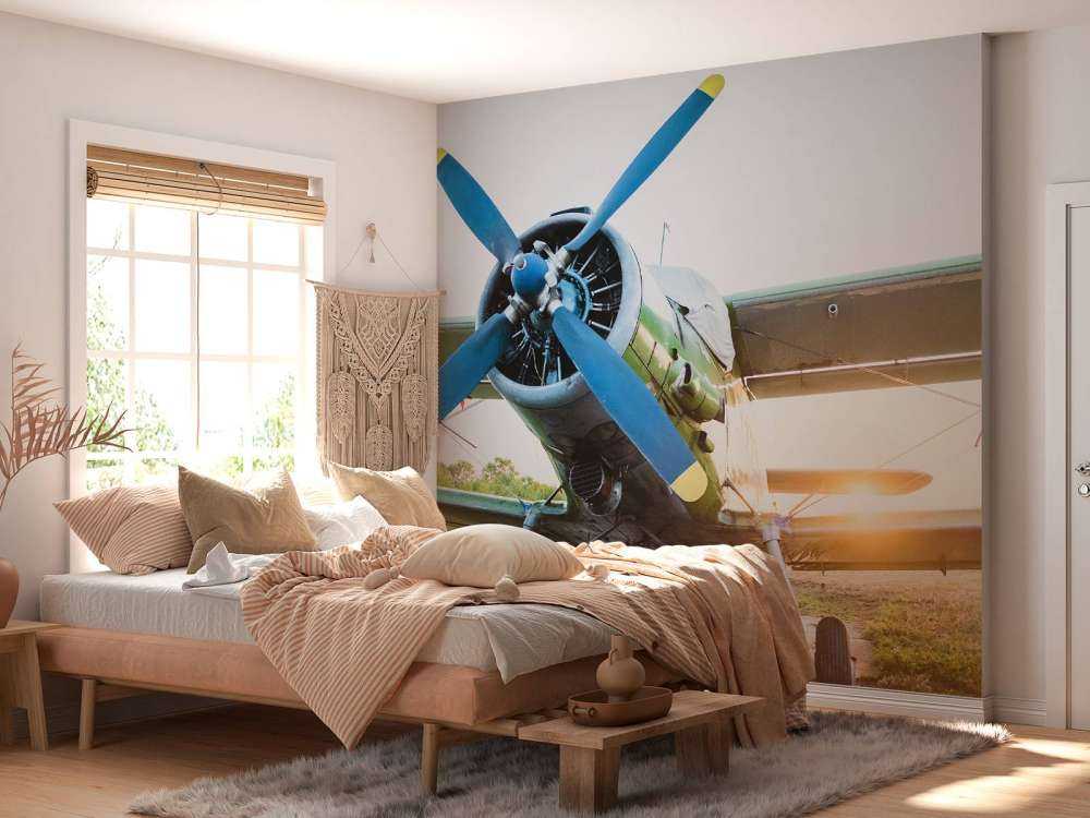 Petit avion privé monomoteur