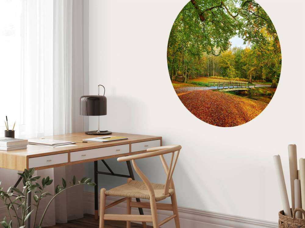 Un pont dans la forêt