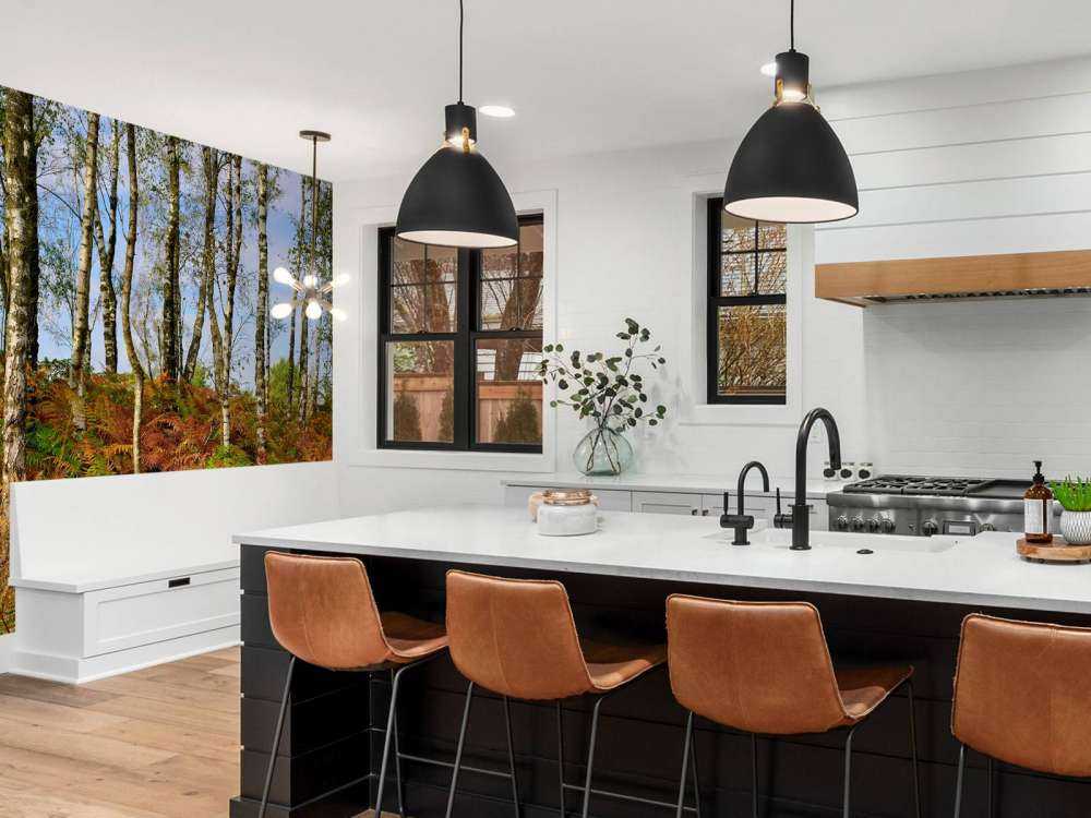 Bouleaux avec fougères colorées