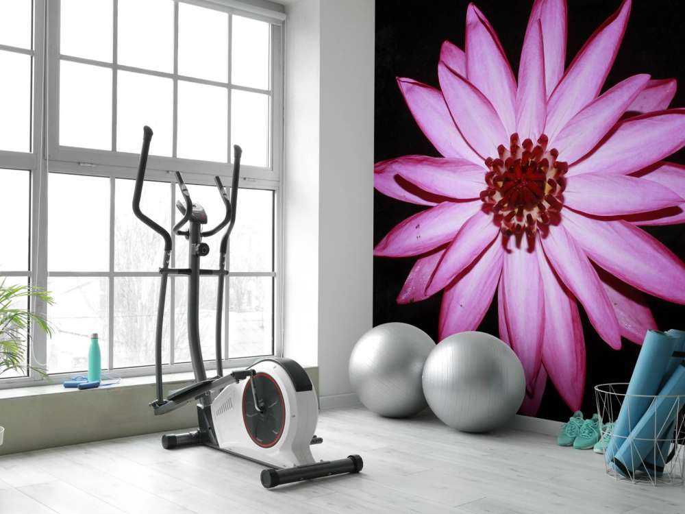 Fleur de lotus vue d'en haut