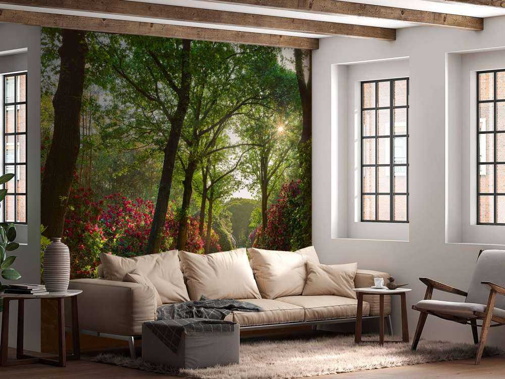 Lever de soleil sur le chemin avec des rhododendrons