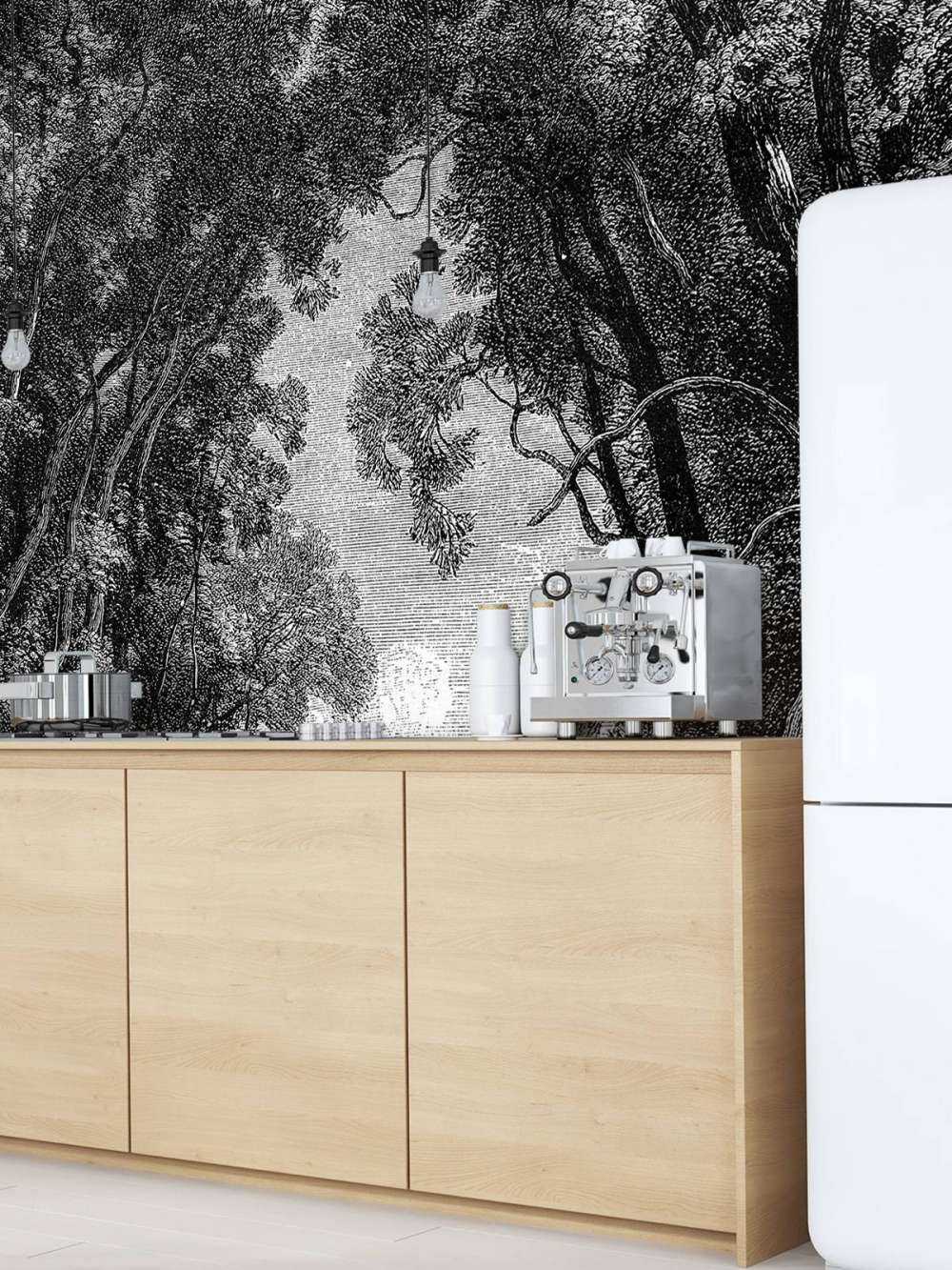 Une vieille rivière dans la jungle