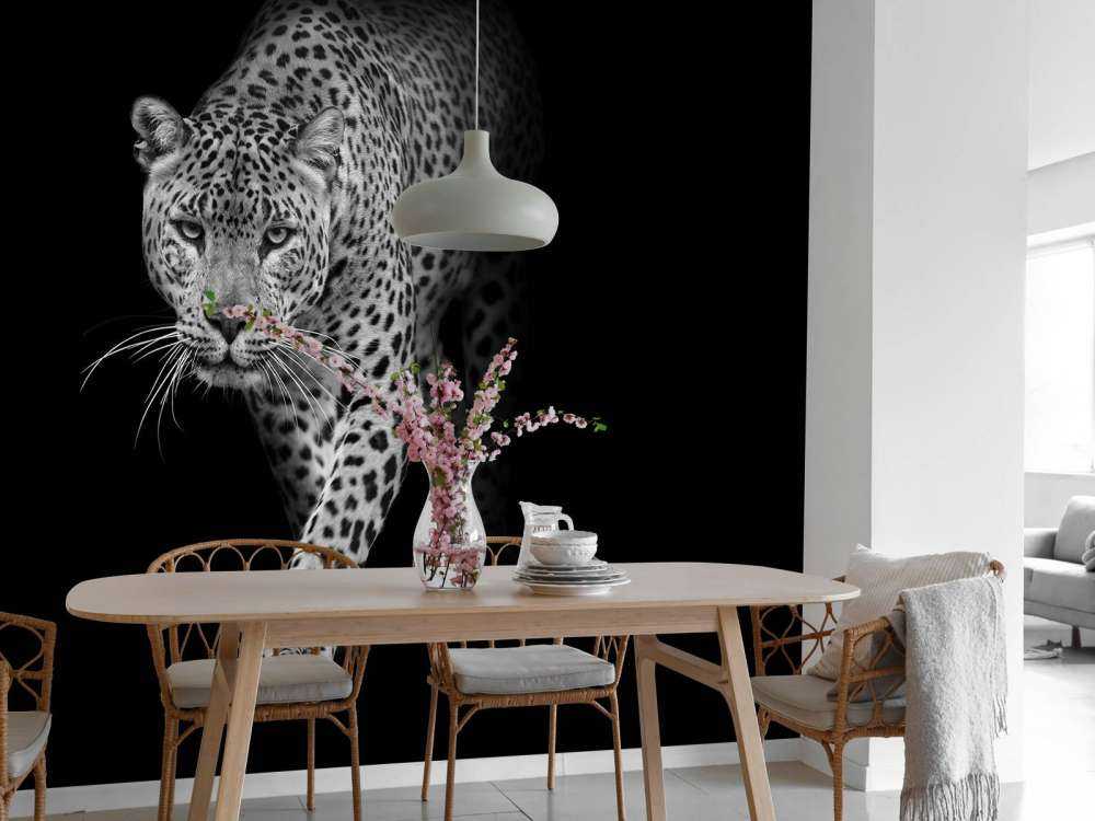 Léopard sur fond noir