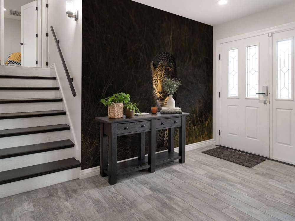 Léopard au coucher de soleil