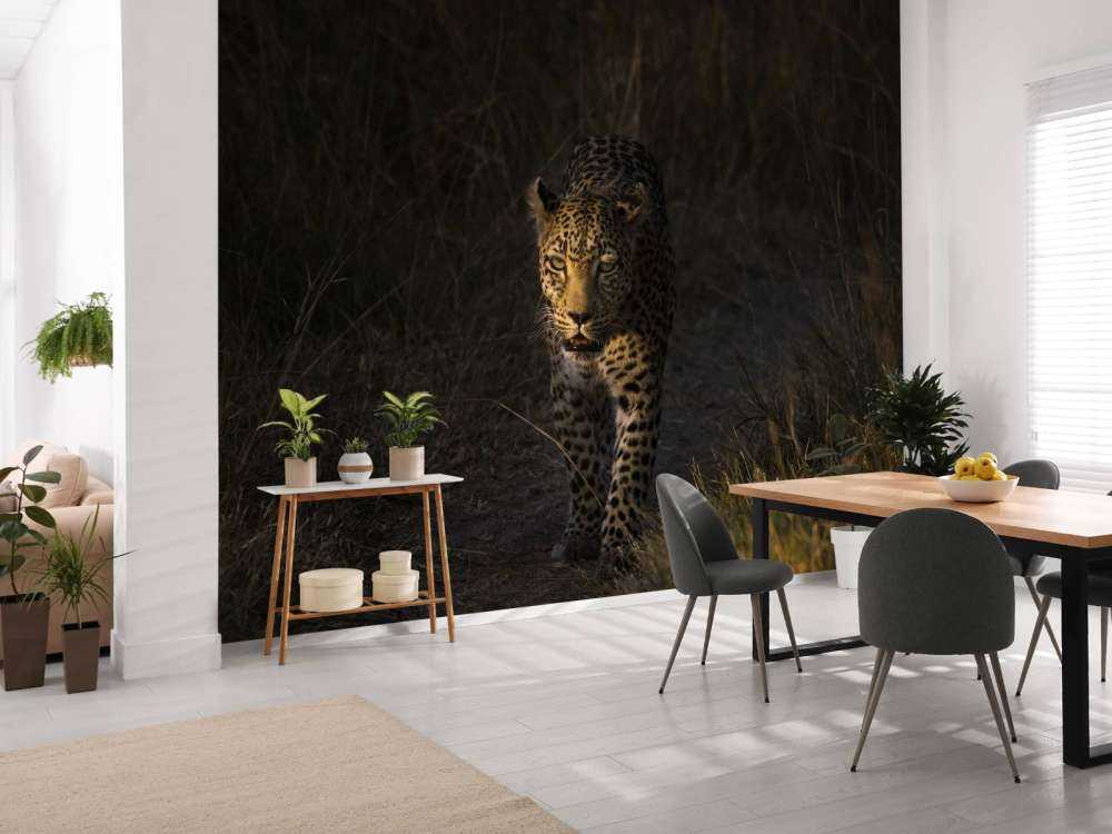 Léopard au coucher de soleil